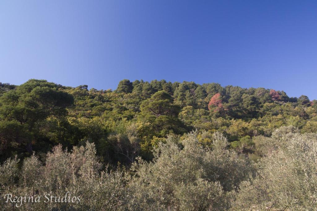 Skalopati Studios & Villa Panormos  Екстер'єр фото